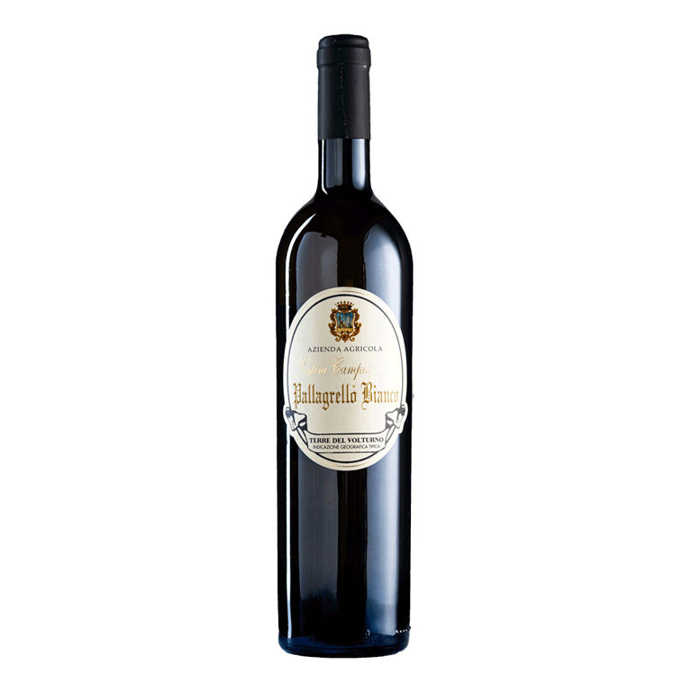 VINO PALLAGRELLO BIANCO 2023 IGT -75CL (1 pz) VESTINI CAMPAGNANO TERRE DEL VOLTURNO